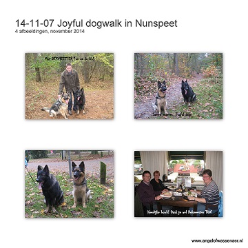 JOYFUL Dogwalk in Nunspeet met Nasho & Fee